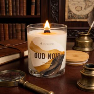 Oud Noir — The Deep, Resinous Luxury Candle for Bold Presence